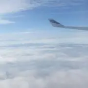 みやみやの画像