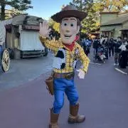 かめさんの画像