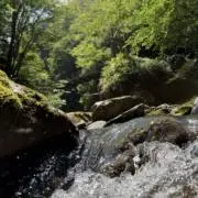 ユーの画像