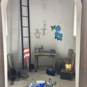 あすなろの画像