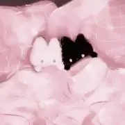 ぱんなちゃんの画像