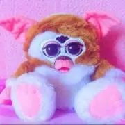 puの画像