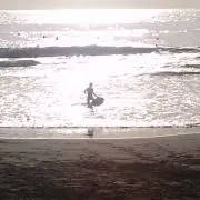 よしお