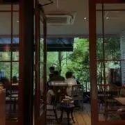 yuhaの画像