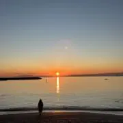 ズシオの画像