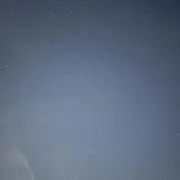 桜舞
