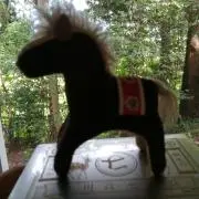 MINAの画像