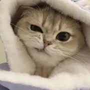 やんちゃ☆
