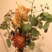 いろはの画像