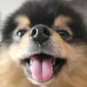 Y(プロフ必読)の画像