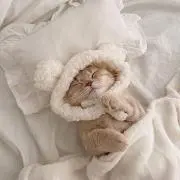 みぃの画像