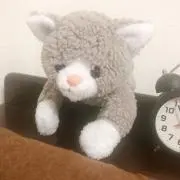 みーの画像