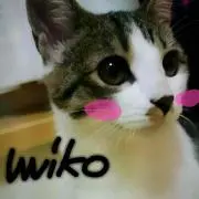miko
