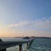 チーズかまぼこの画像