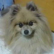 けいこの画像