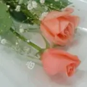 もちみ