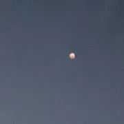 てぃも_nsr