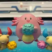 コタさん