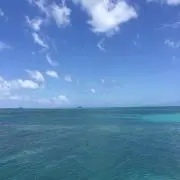 beigeの画像