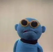 たこの画像