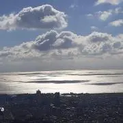海山　7月末迄お休み。基本:土曜日発送の画像
