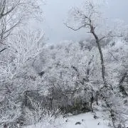 未使用 小学6年生用教科書 6冊まとめ売り（バラ売り可） - メルカリ