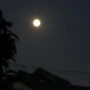 あかの画像