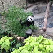 てん☆の画像