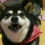 ちくわぶ