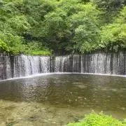 くりりんの画像