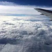 mikuの画像