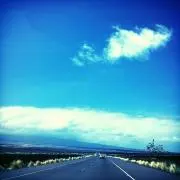 shinの画像