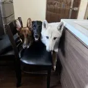 ゆうやん