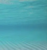 rinoaの画像