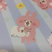 キッターの画像