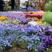 まなふぃーの画像