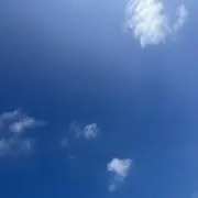 雑穀米の画像
