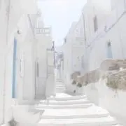 Maruの画像
