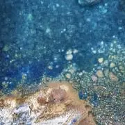 レレレンの画像
