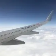 たけ
