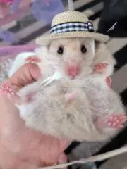 ^^