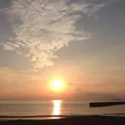Hammの画像