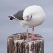 yu.の画像