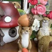 キイロの画像
