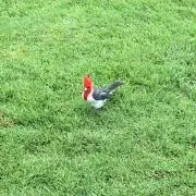 KIMIの画像