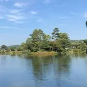 tの画像