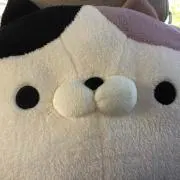 さりー