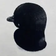 JACKの画像