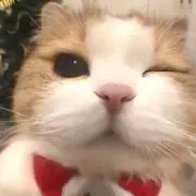 ちるの画像