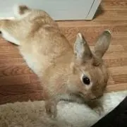 ykの画像